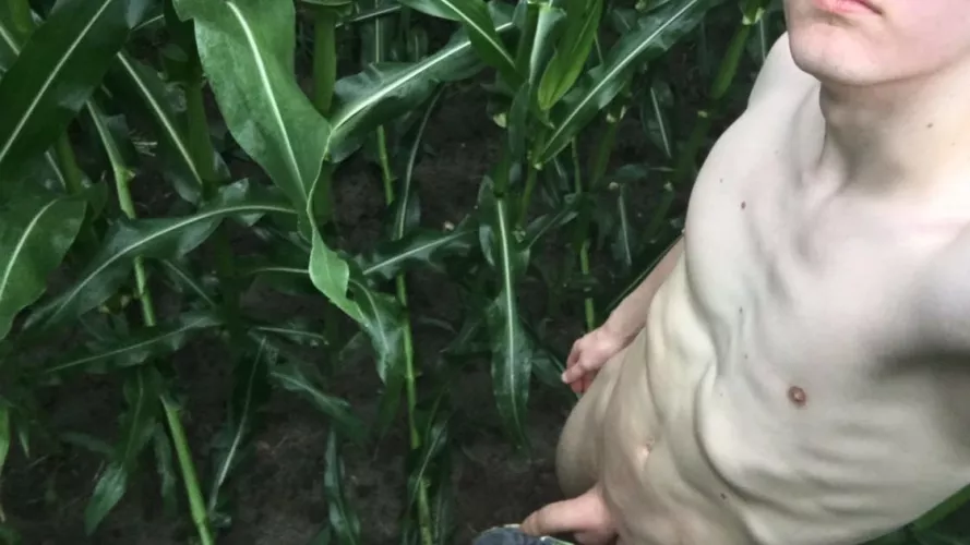 It took a while until someone found me by nudeens