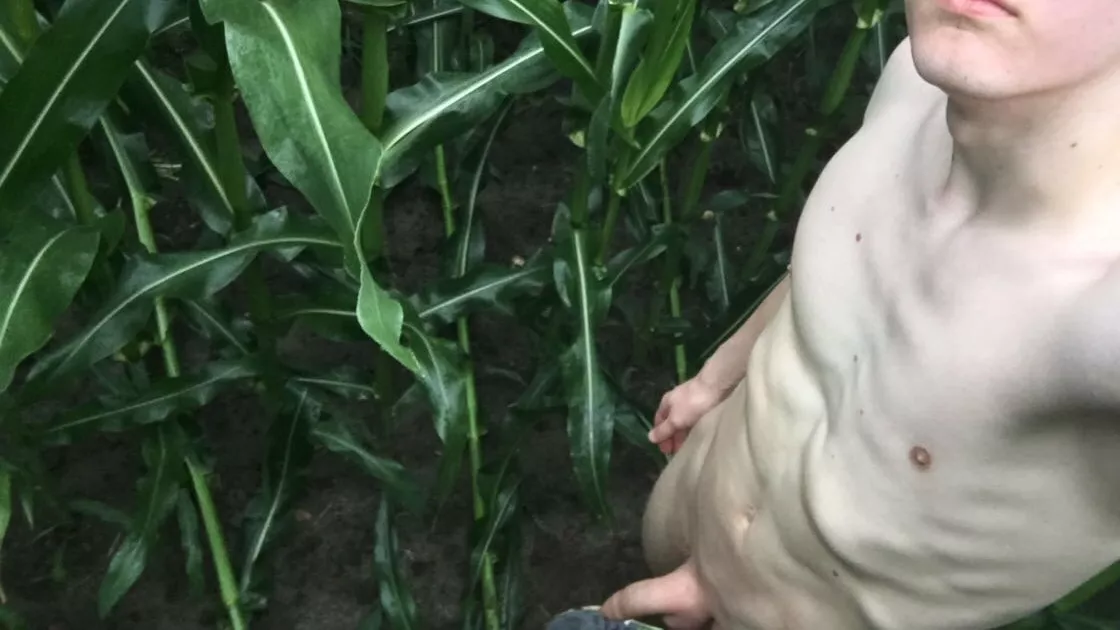 It took a while until someone found me posted by nudeens