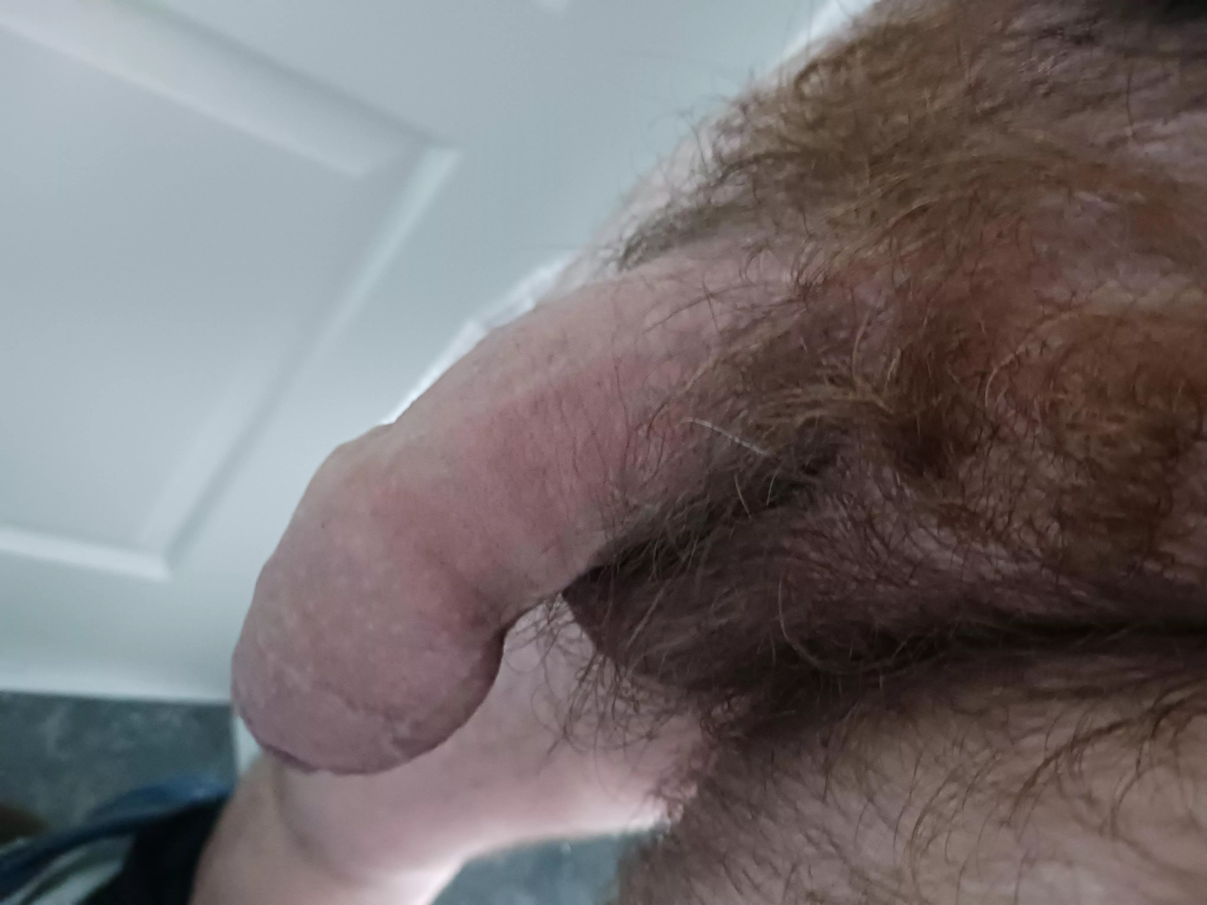 Just an uncut softie,hope you like!!(49) posted by Specialist_Split_153