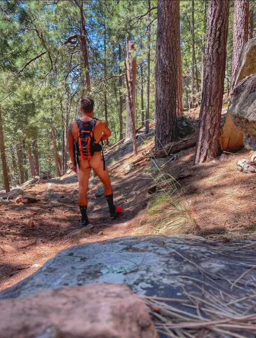 Mogollon Monster by Ok_Mixture_8338