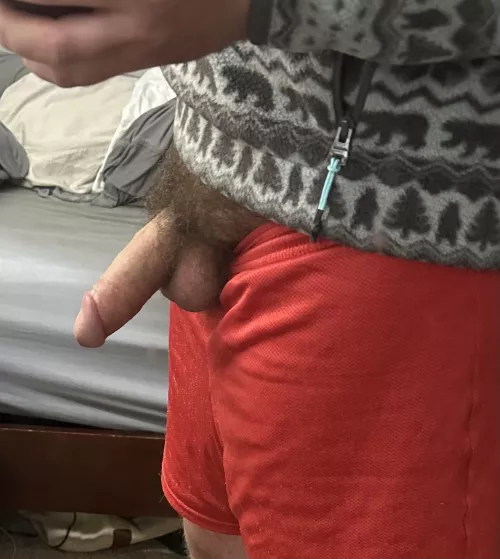 Really like how the angle of this pic captures the natural essence of my hair, dick and balls. by hairysoutherner