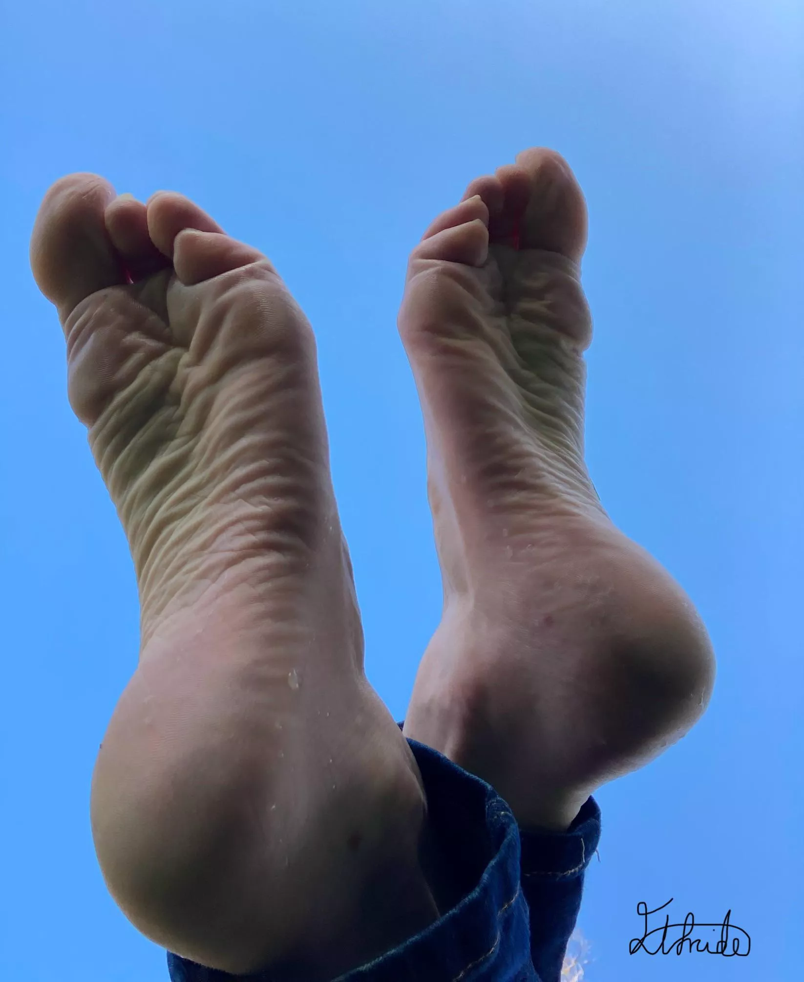 Scrunched or flexed? posted by Elfrida77