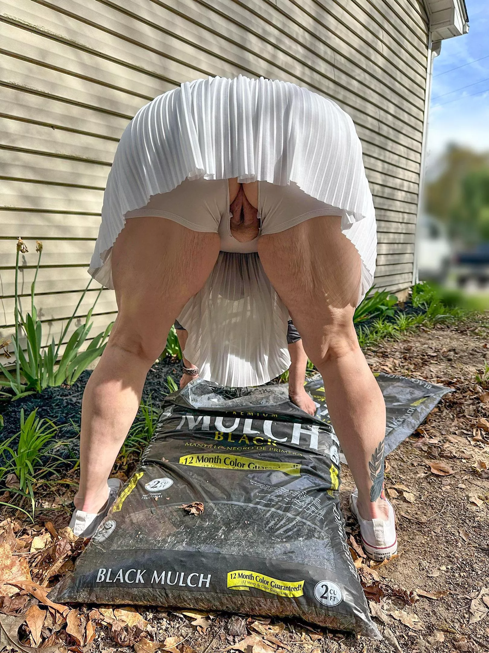 The neighbor guy keeps peeking over his fence.  posted by daddyslilboobutt