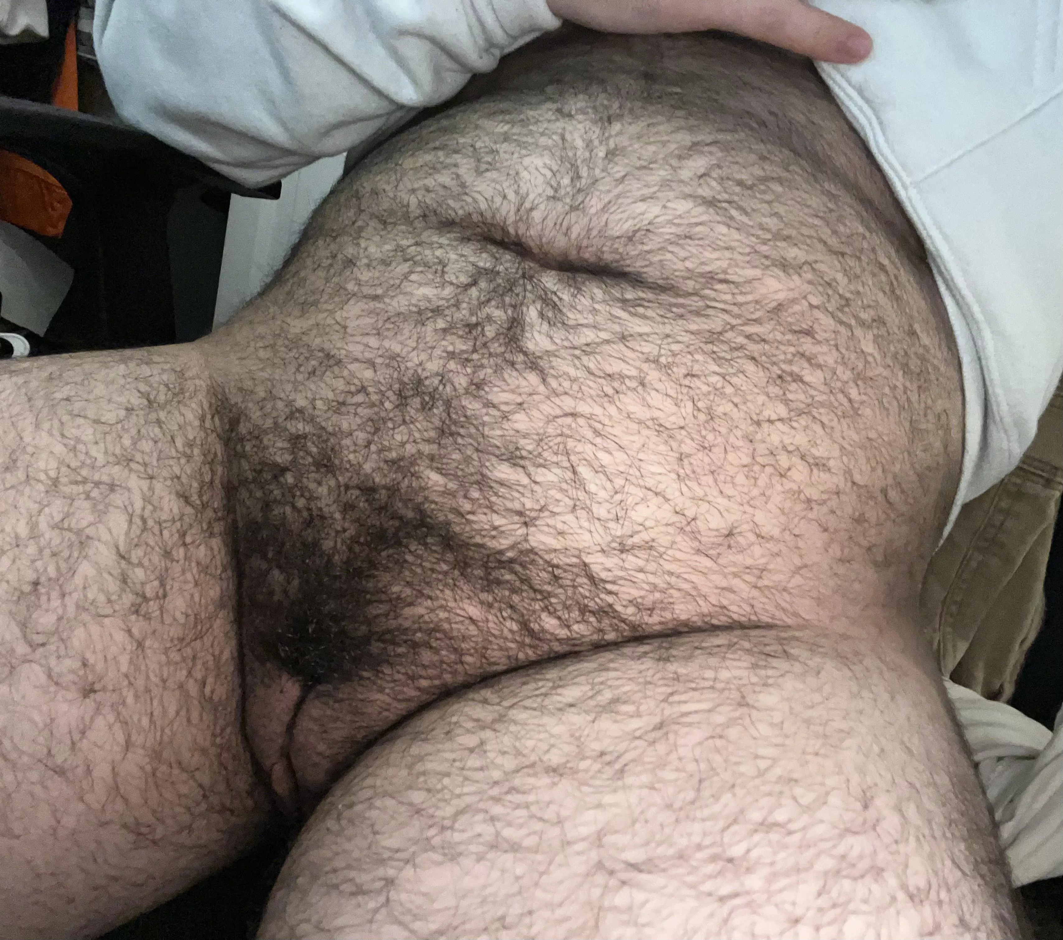 watcha think? posted by breedftm5