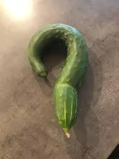 When did this become a pegging sub? by PM_me_some_nips_girl