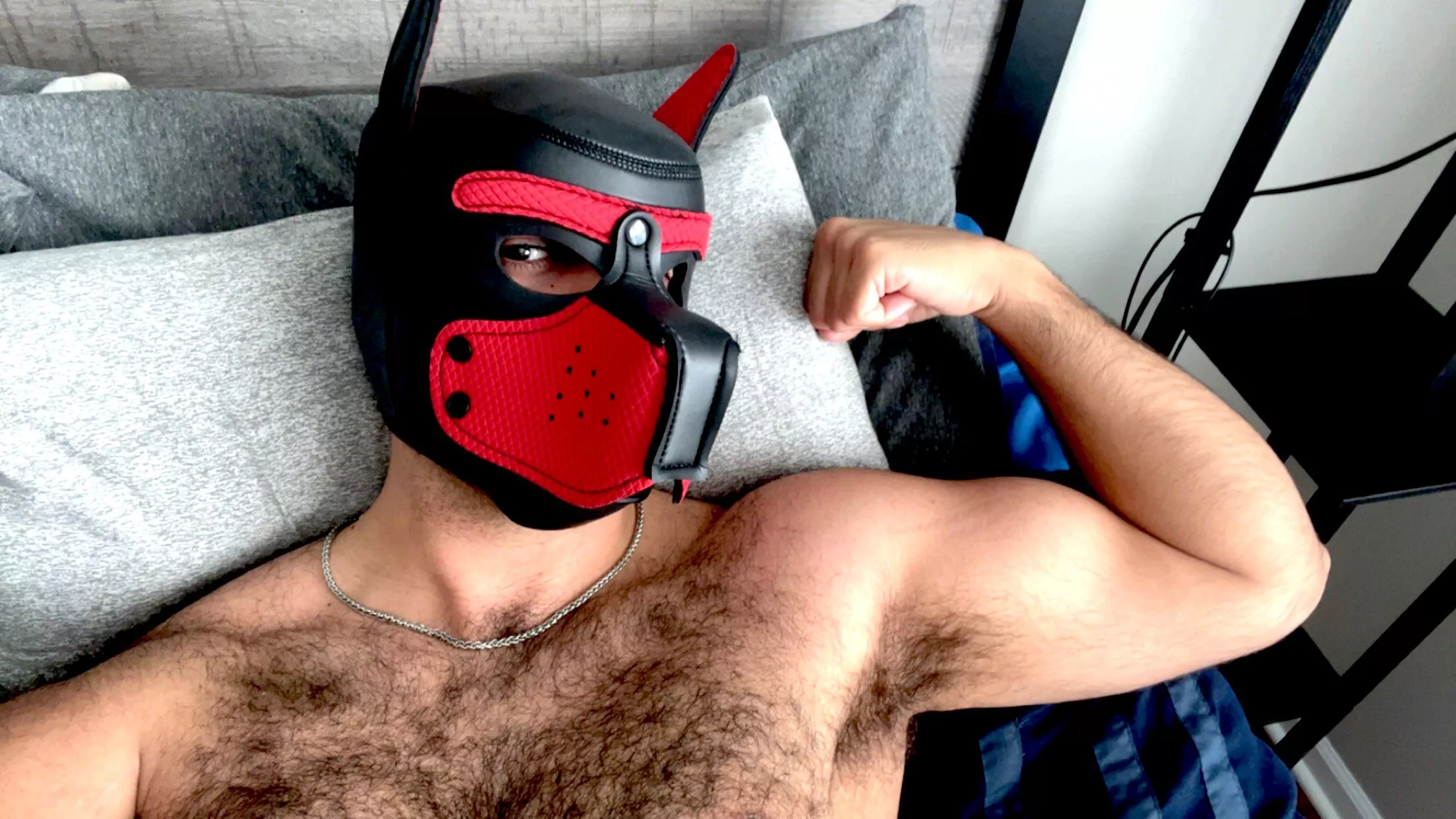 Woof 🐾 posted by thecubbybear__