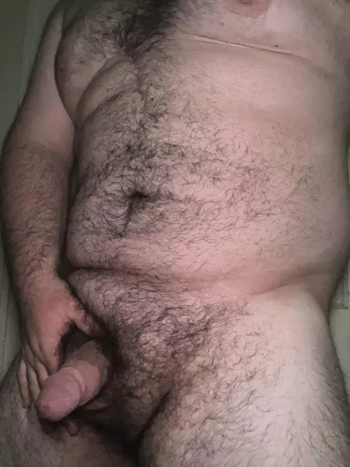 21 college football … bear or cub? by AdPure1420