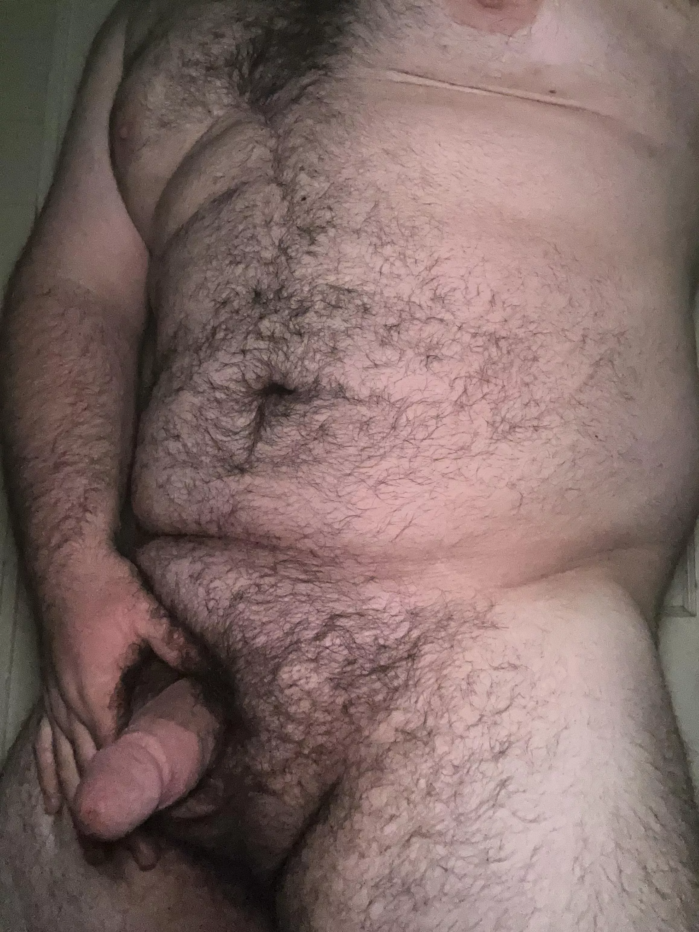 21 college football … bear or cub? posted by AdPure1420