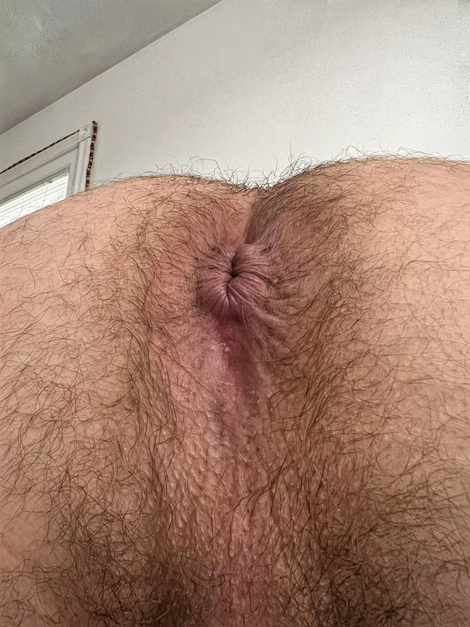 [34] Good morning everyone posted by KC90001