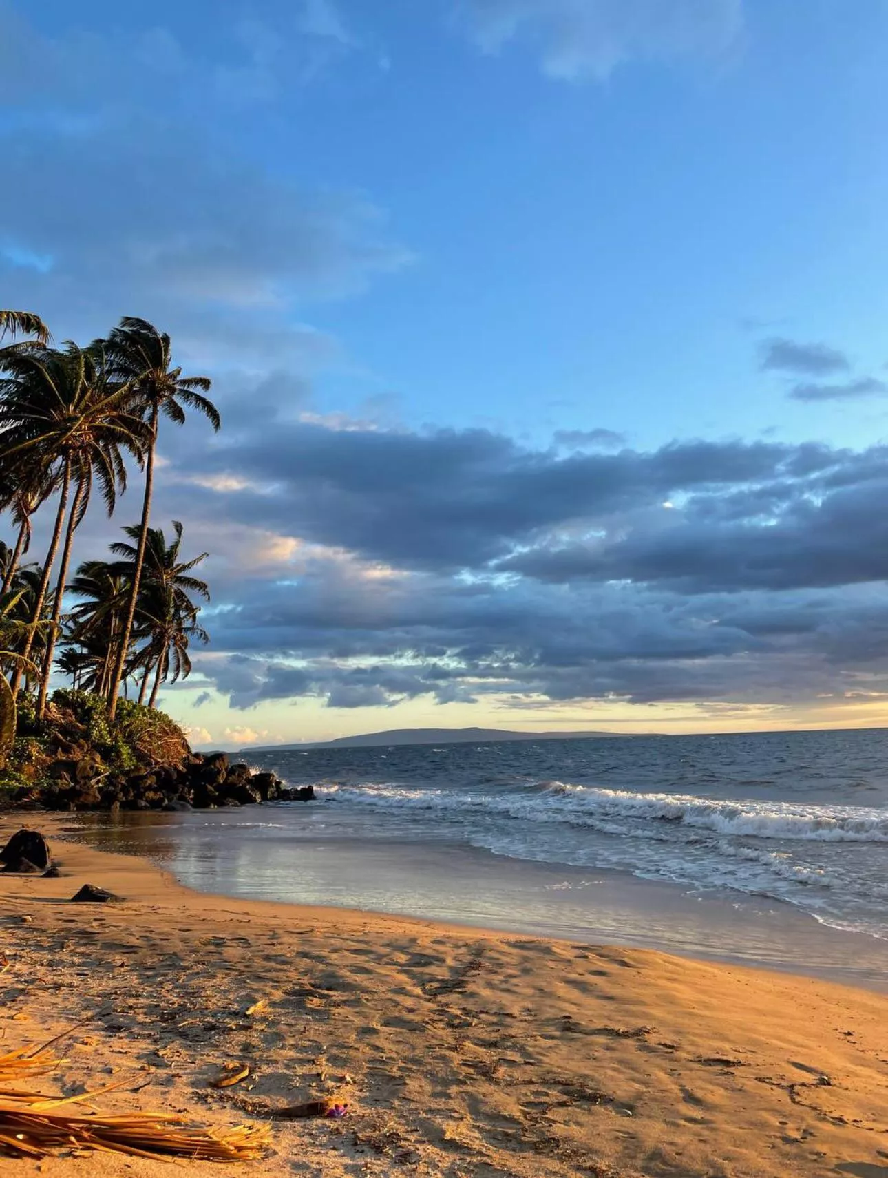 Aloha from Kihei, Hawaii  posted by CheeksClapKitKat