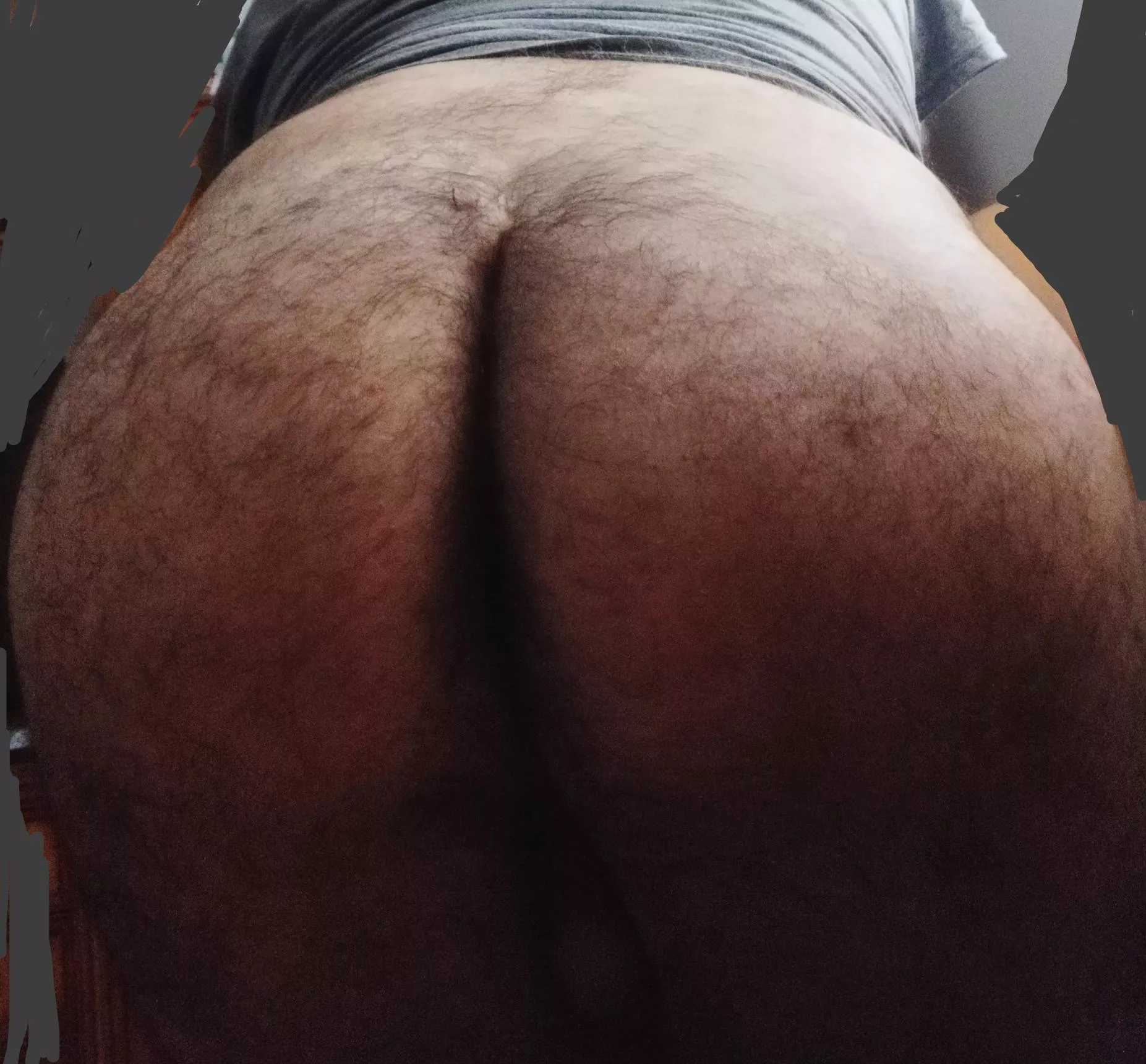 Anyone into big hairy ass? posted by elitestorm971