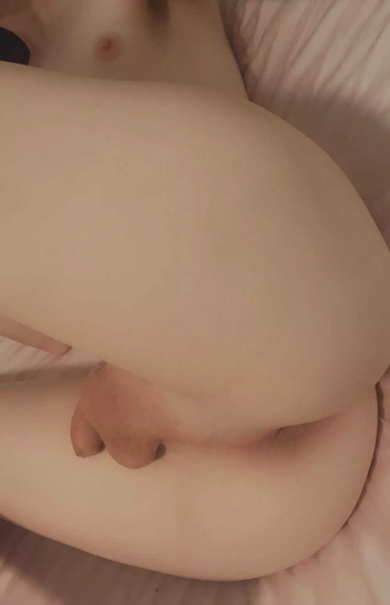 Breeding slut posted by vers111