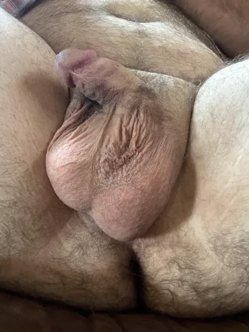 Can you fuck me hard enough to make it flop around??? by breedmyhairyfatass
