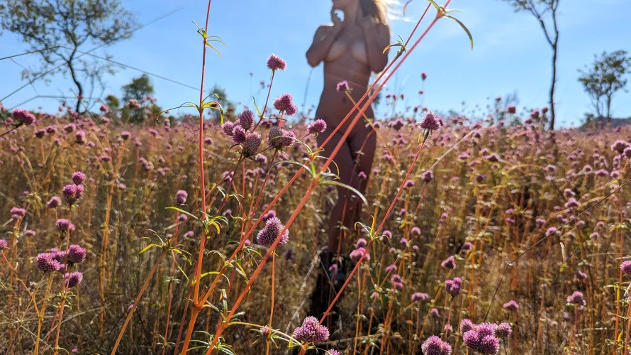 focussed on the flowers by honeylullah