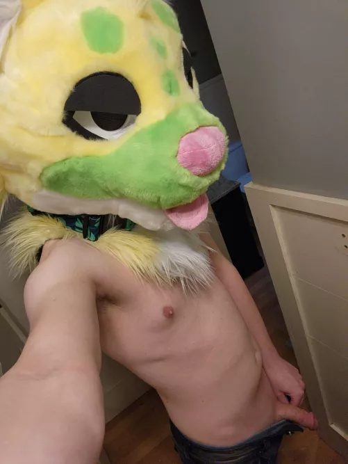 fuck it I'll stop lurking, be nice 👉👈 (24, He/They) by elkhoundsy