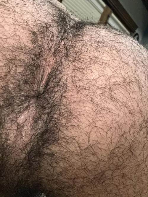 hairy dicks for my hairy hole? by Healthy_Product_4361