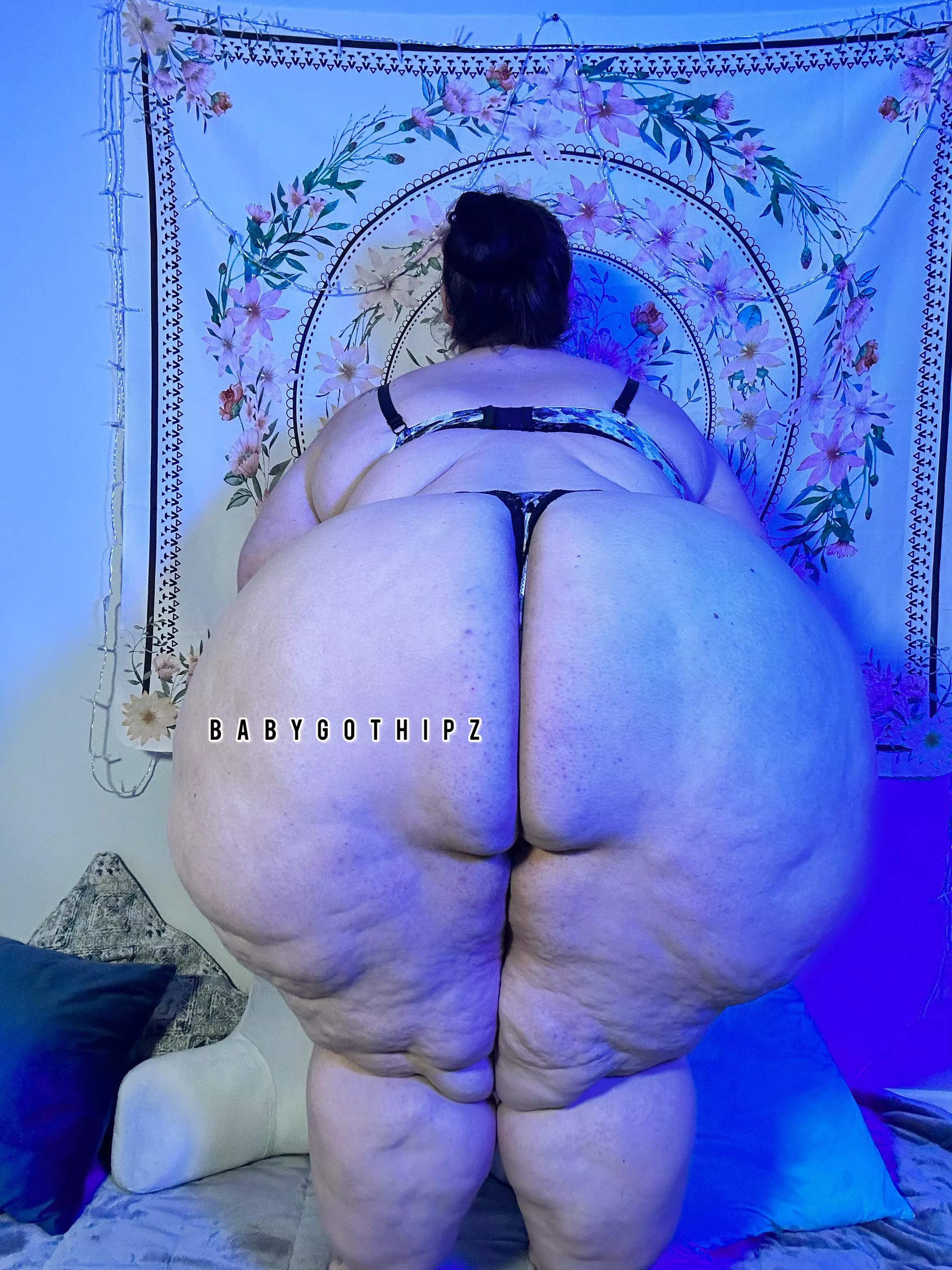 Happy Wagon Wednesday! posted by babygothipz