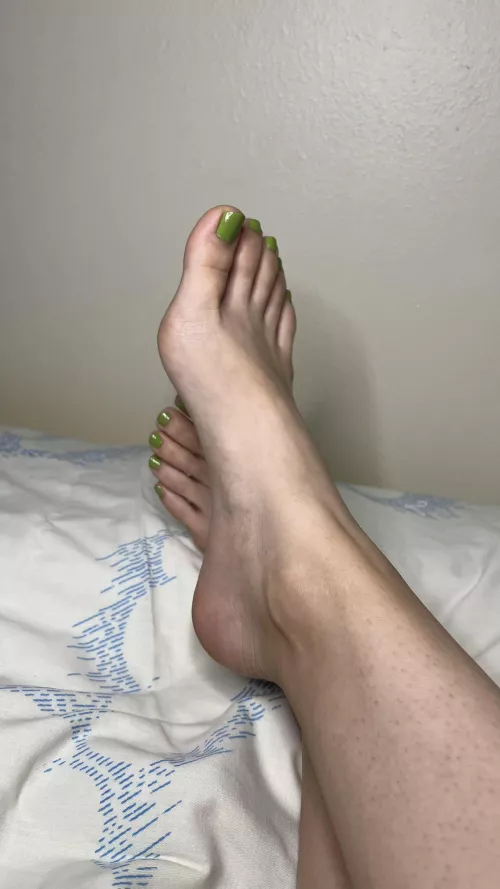  Hello there— wait, are you staring at my… feet?? 🤭[OC] by daisydorsey