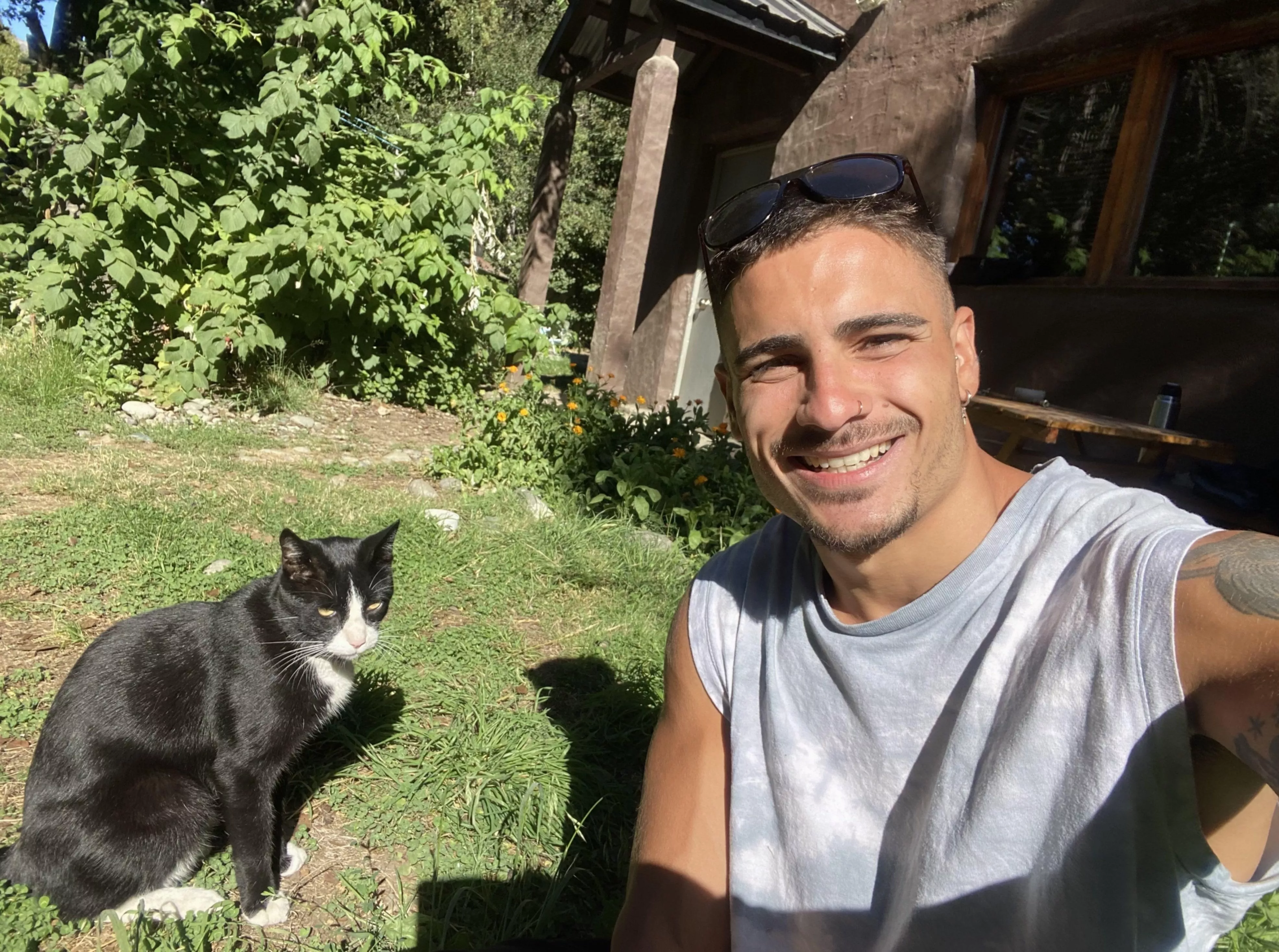 Heyyy broos, my cat just wants to say hi to you! posted by OliverKingxx