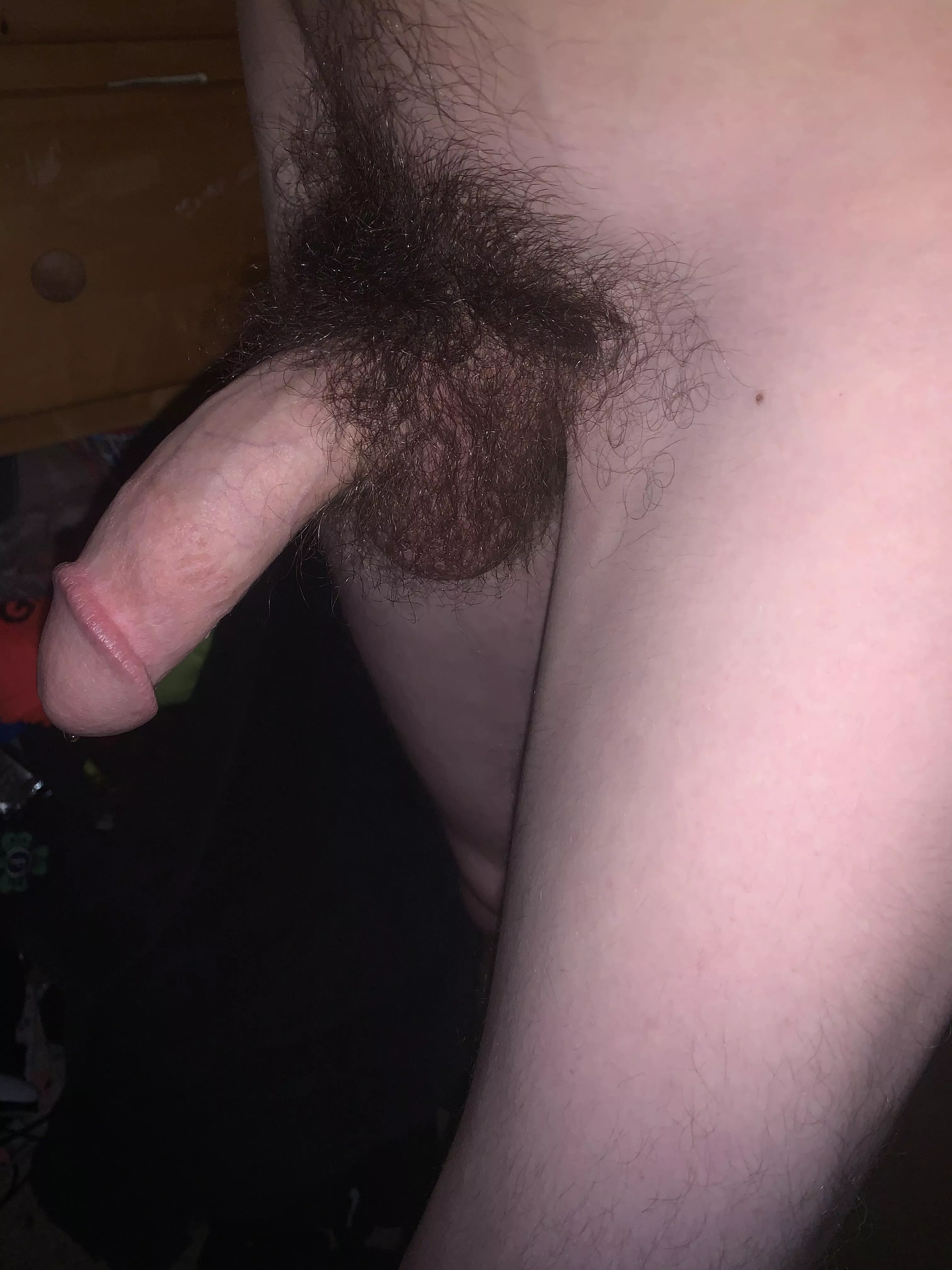 Hope the bush won’t chase you away :P posted by slytherinwizard