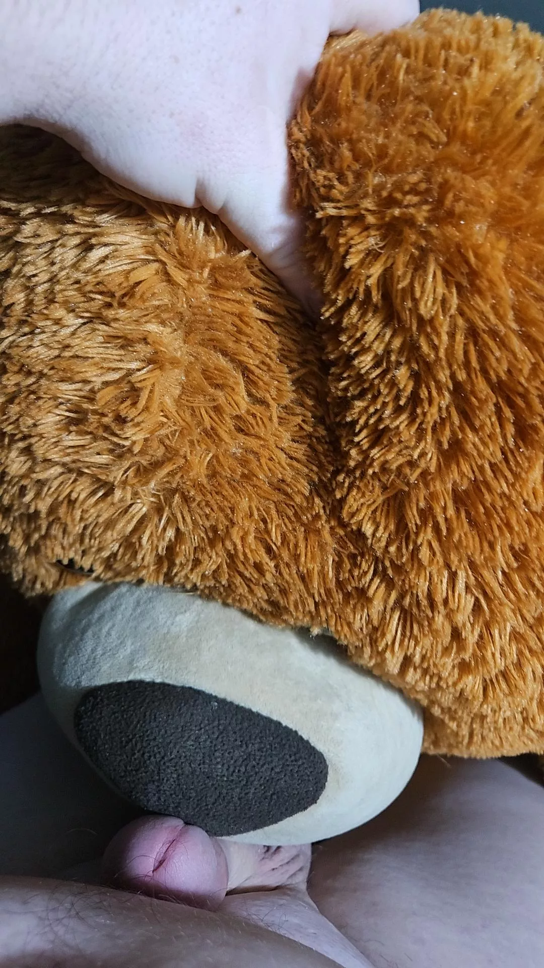 I fucking love this bear 😍♥️🤤 posted by Ala91Ska