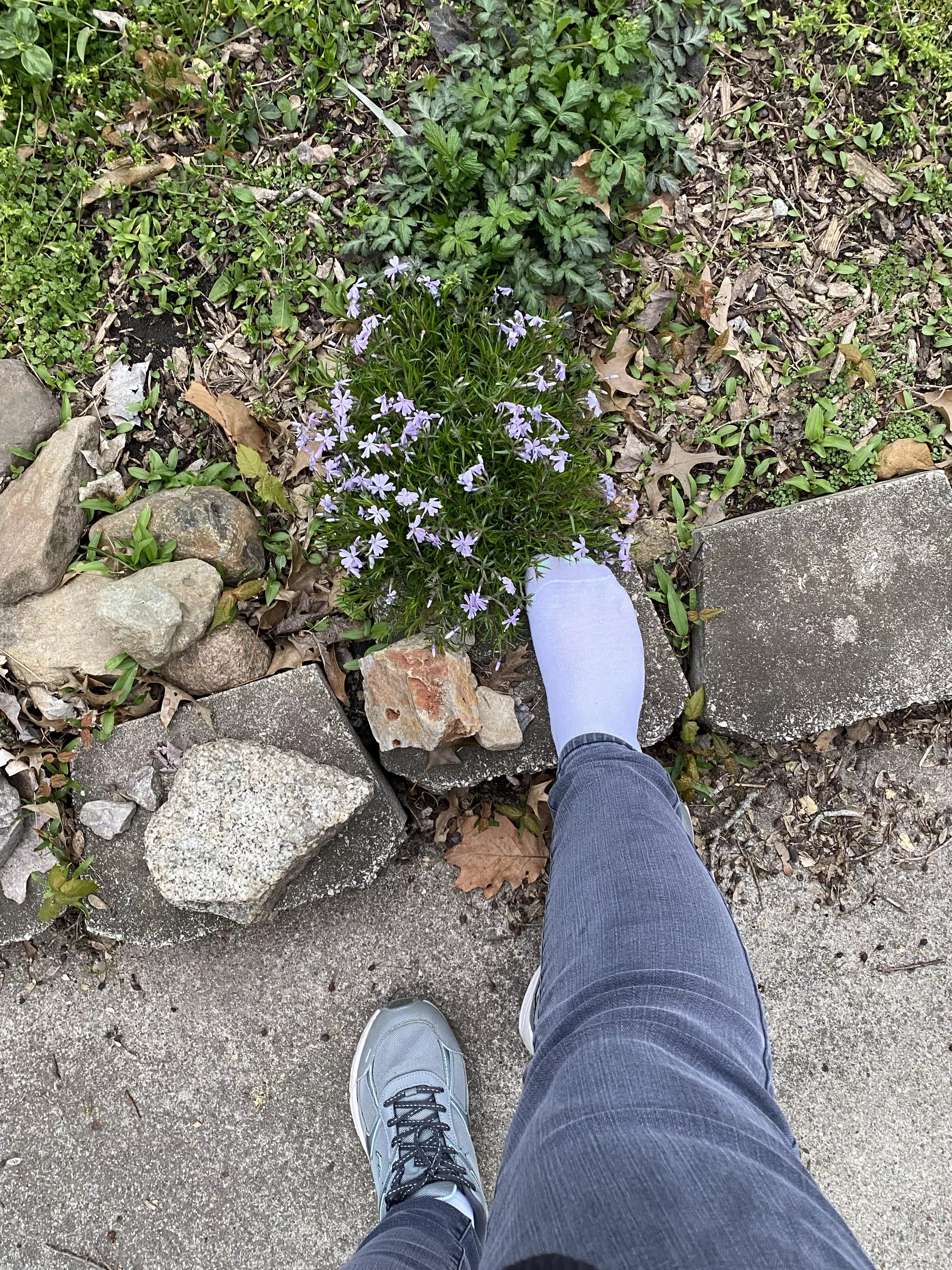 I think my foot is even prettier than the flowers.  posted by GoddessSable