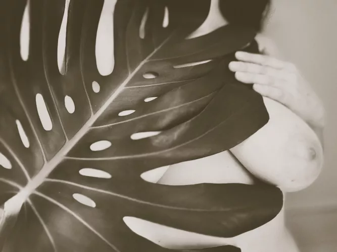 I’m awfully frond of you  by SagVibes