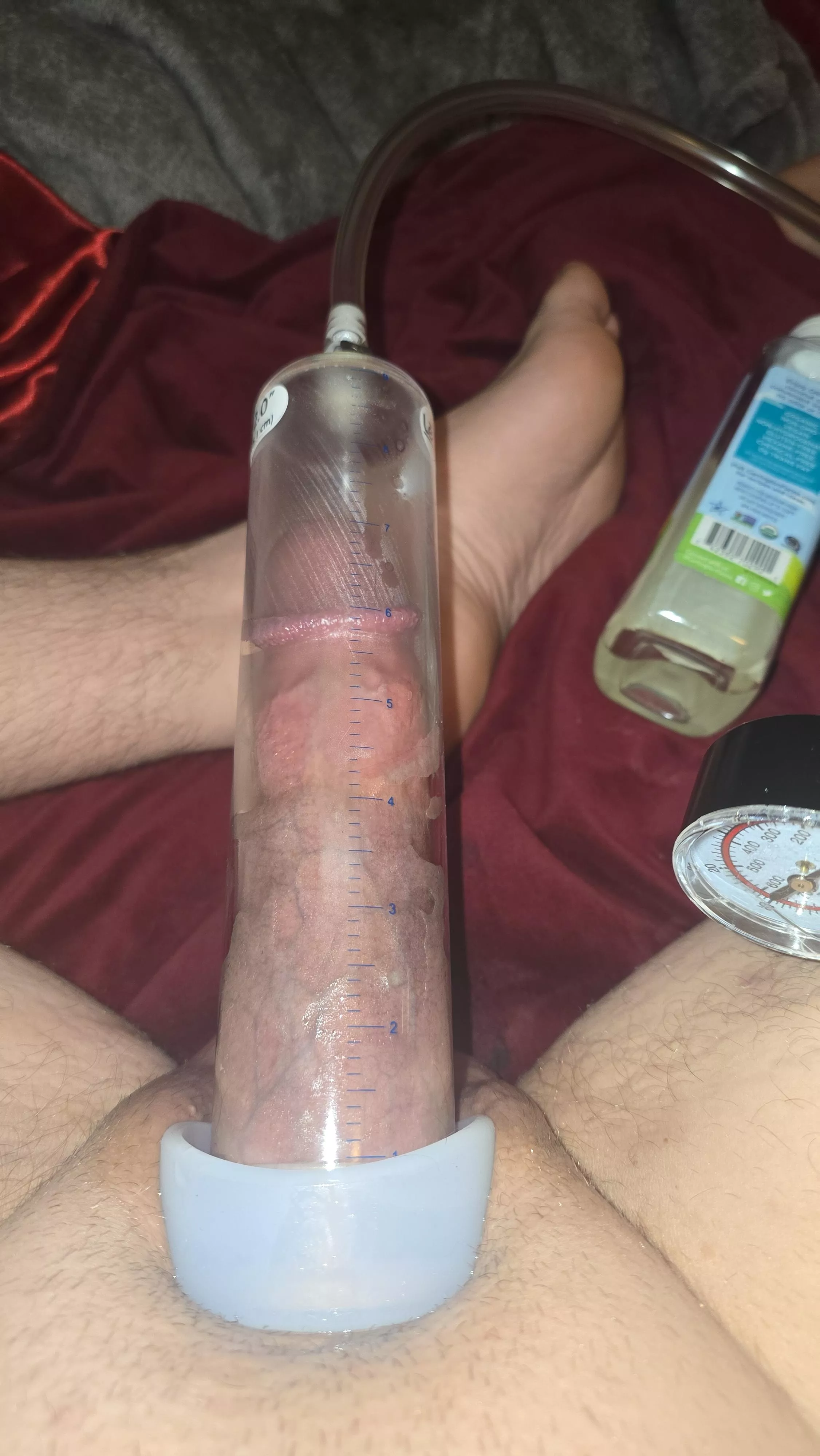 In it  posted by greenthumb32290