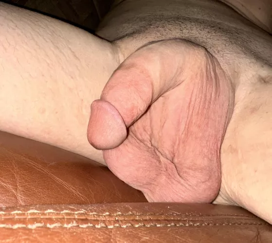 Just a big softie by perpetuallypensive