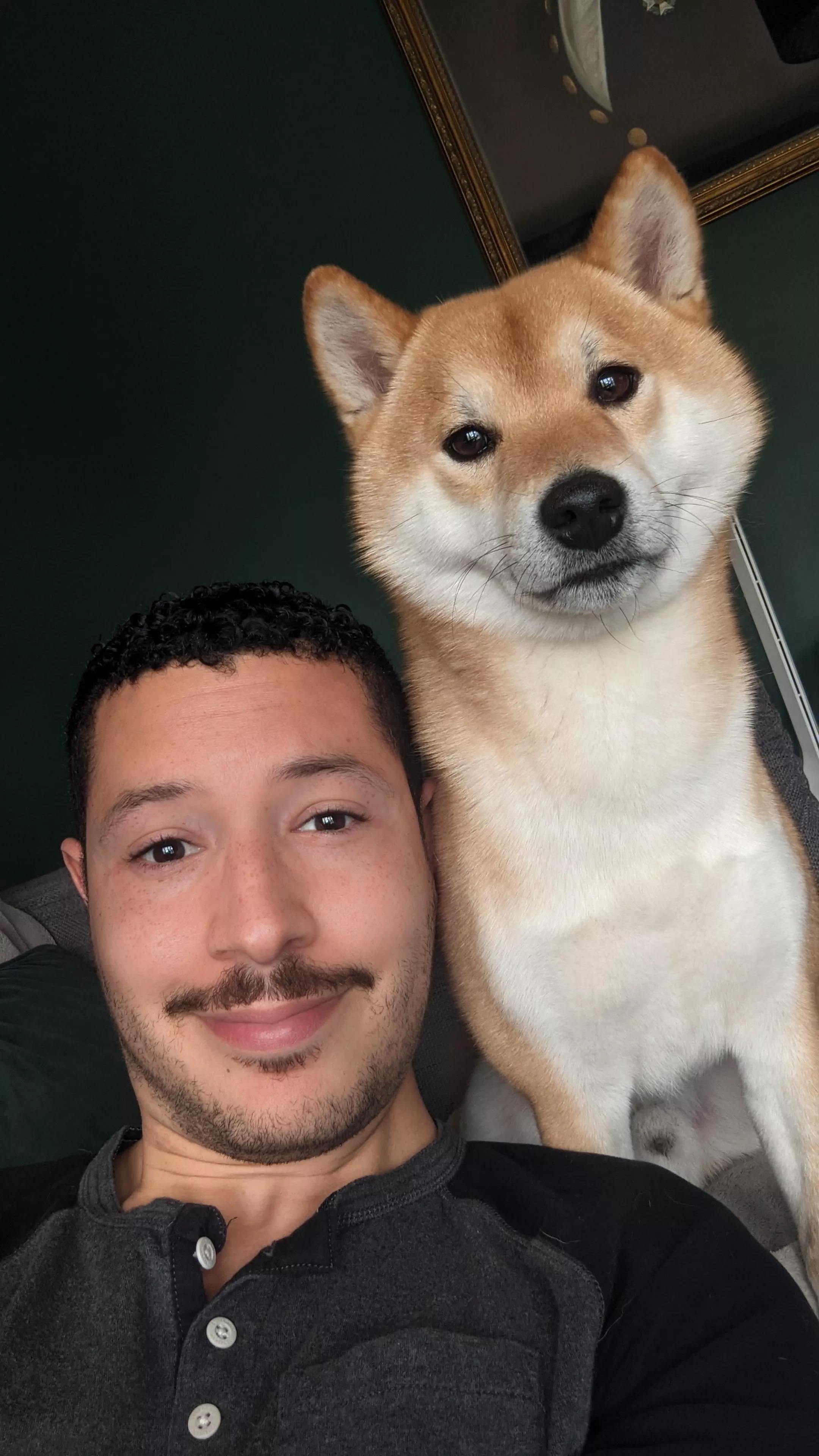 Just Gatsby and I hanging out. What are you doing? posted by isarobots