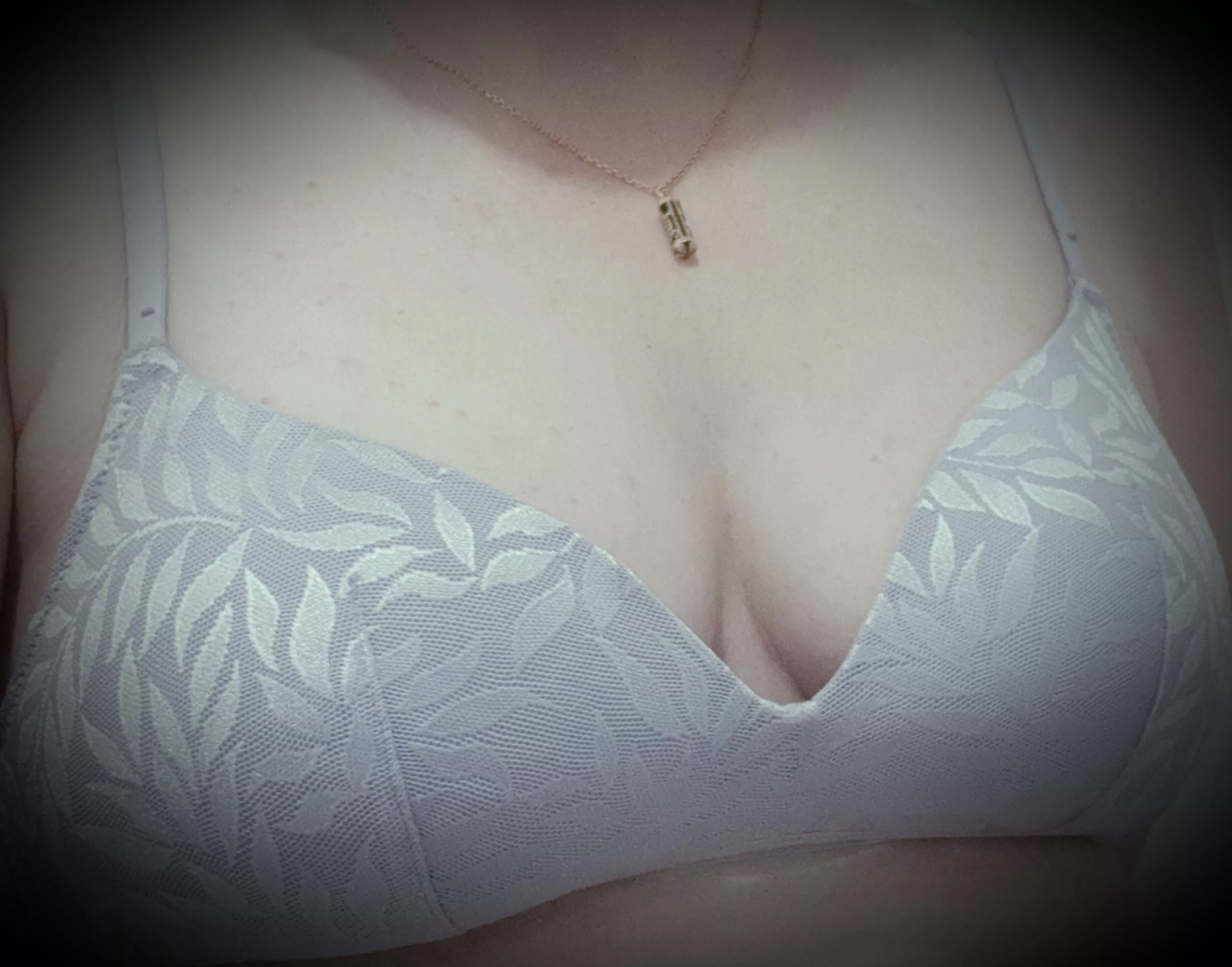 Lilac Thursday posted by Echo-Red