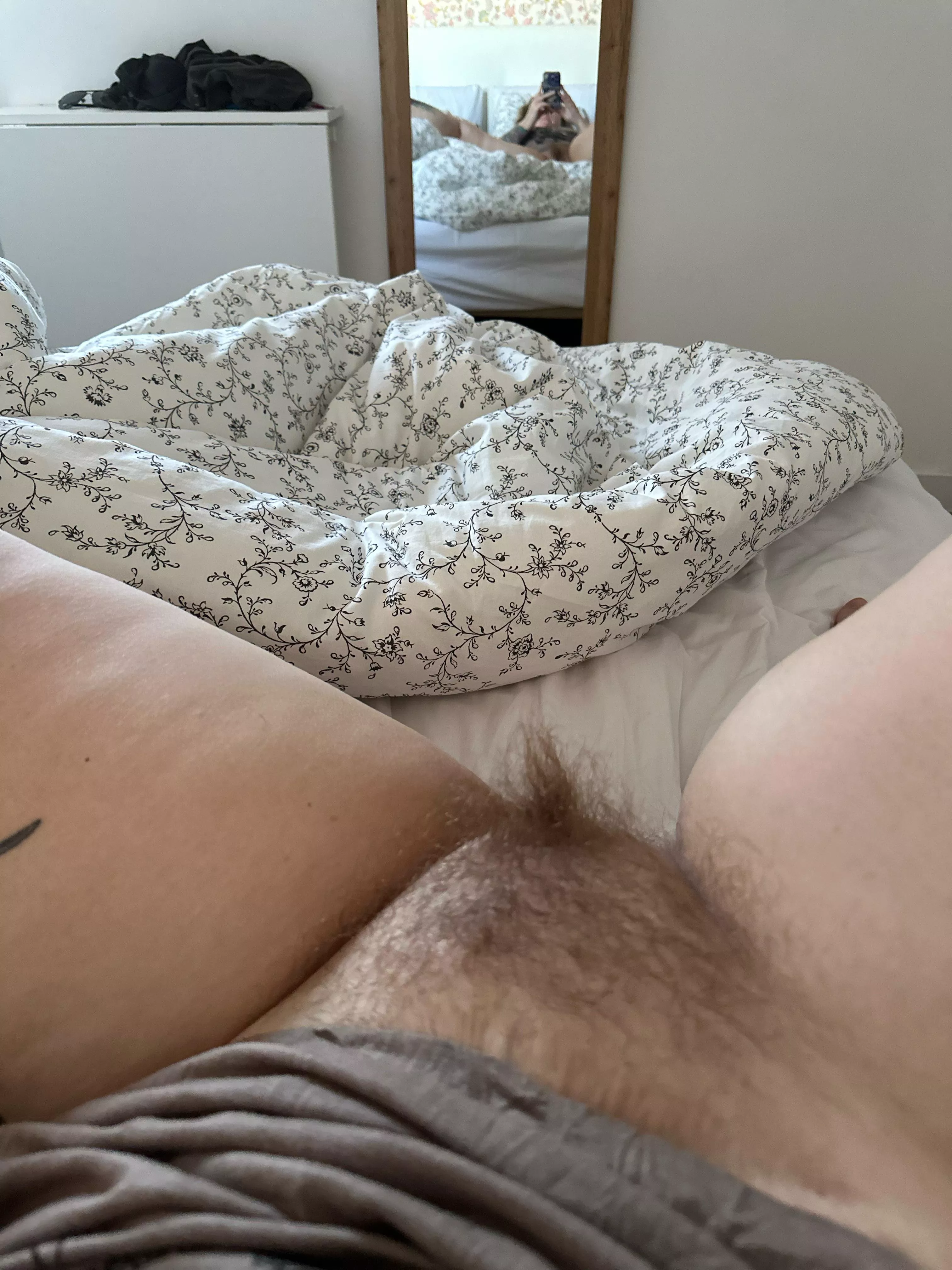 Morning bush for you posted by dreamy_angel777