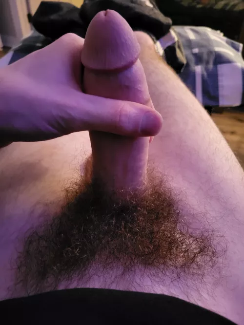 My bush is becoming my favourite feature by Double-Win305