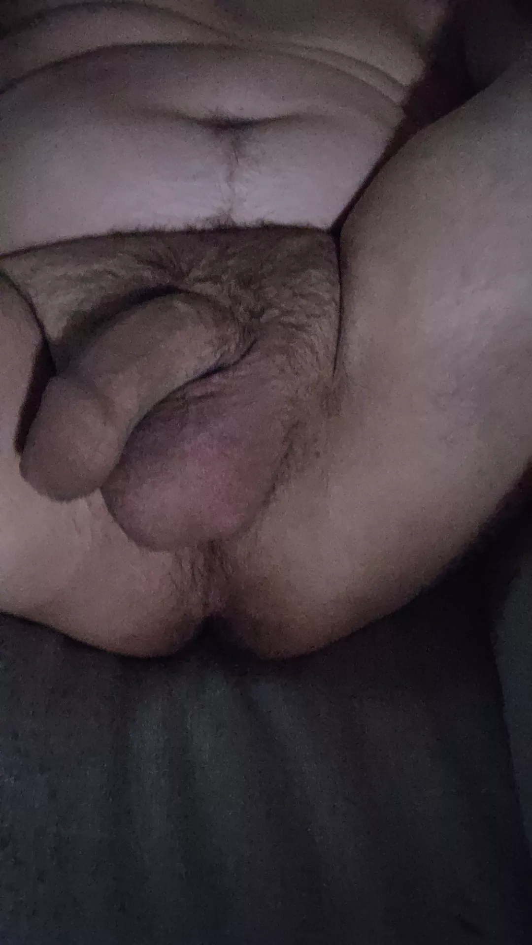 Need to get bred by a chub  posted by South-Nobody-8258