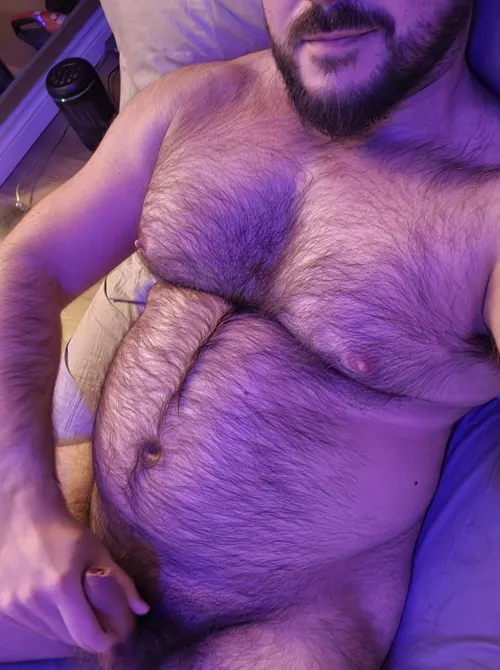 Otter or Bear? by hairyyc