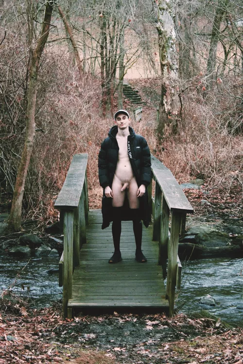 Out for a walk  by Codu91