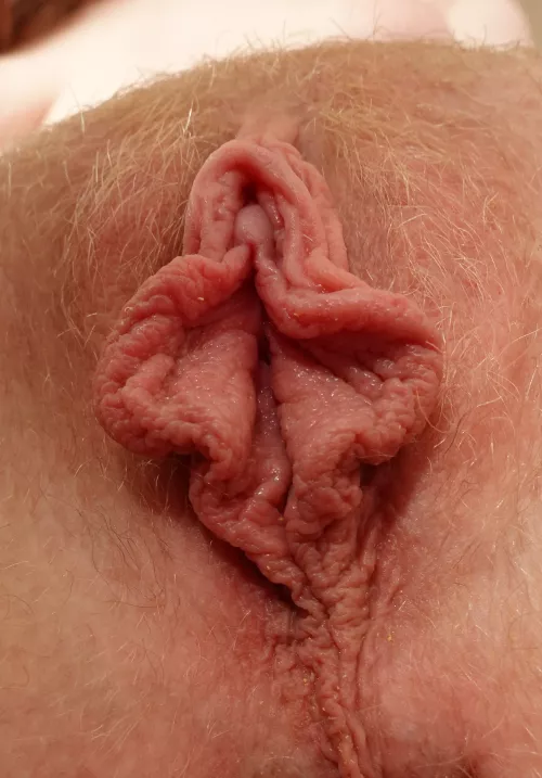 Pussy straight out of your dreams provided you like big labia 😅 by RedWildcatx