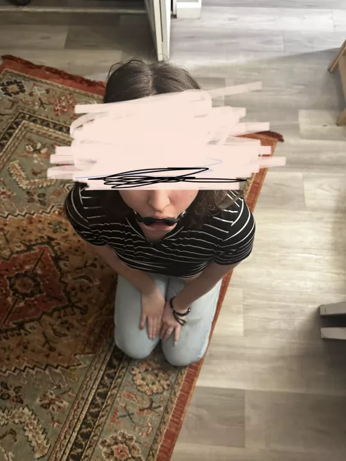 Ready  by Backyard555