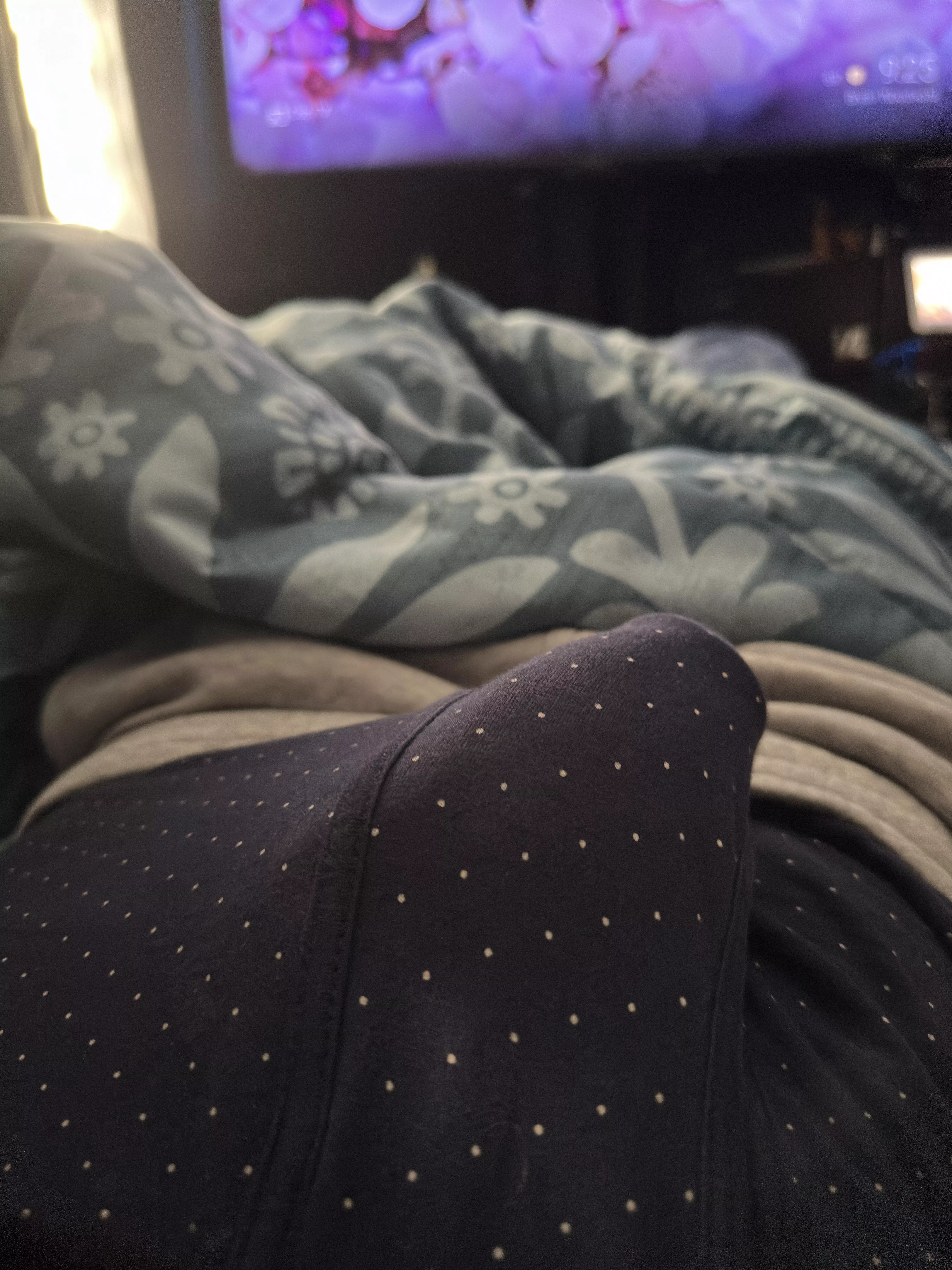 Rise & shine posted by Mean-Ear2284