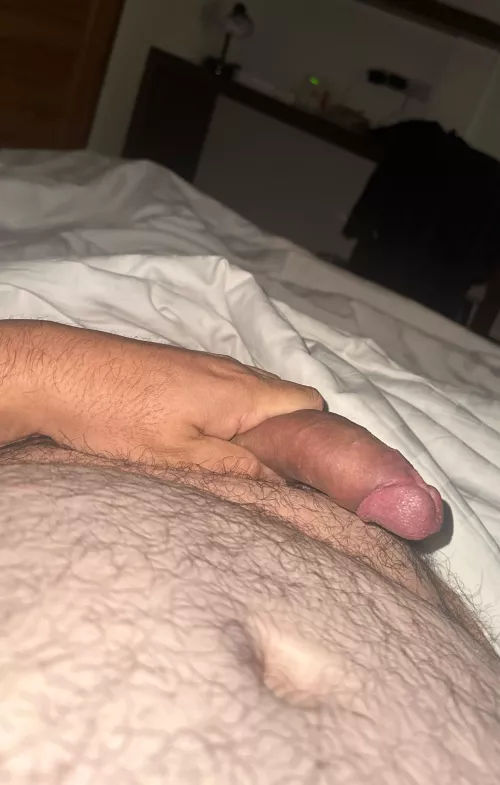 Someone please take my cock by jmswlkr95