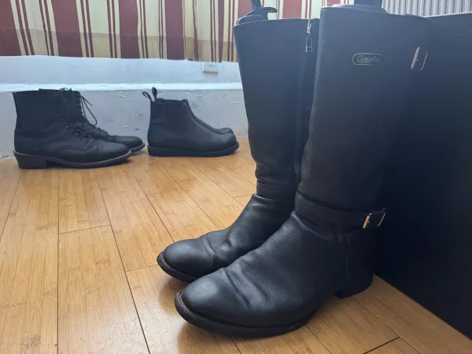 Spring Cleaning by Ok_Flamingo_6066