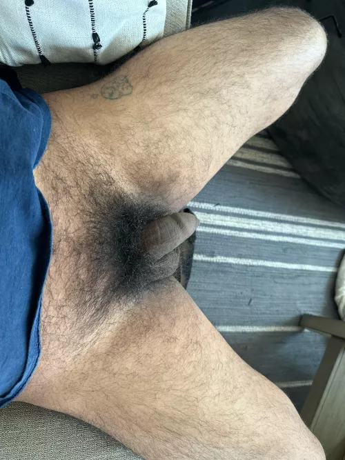 Taking a break after doing some moving around and water changing of my aquarium.  by jo_0403