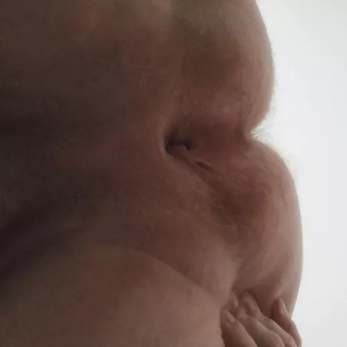 Tasty  by stanhornets