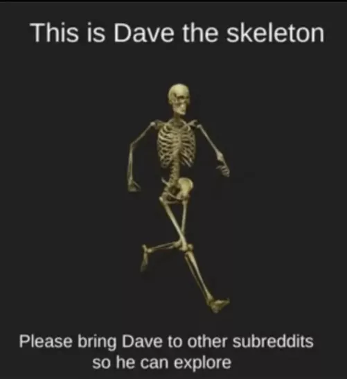 Traveling  by ItsLordPigeon