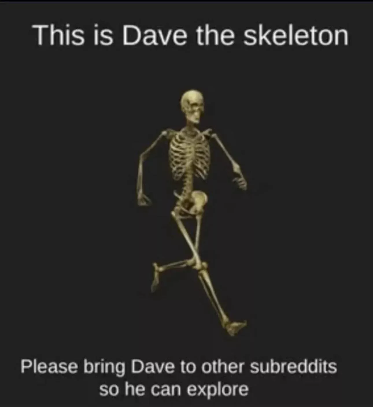 Traveling  posted by ItsLordPigeon