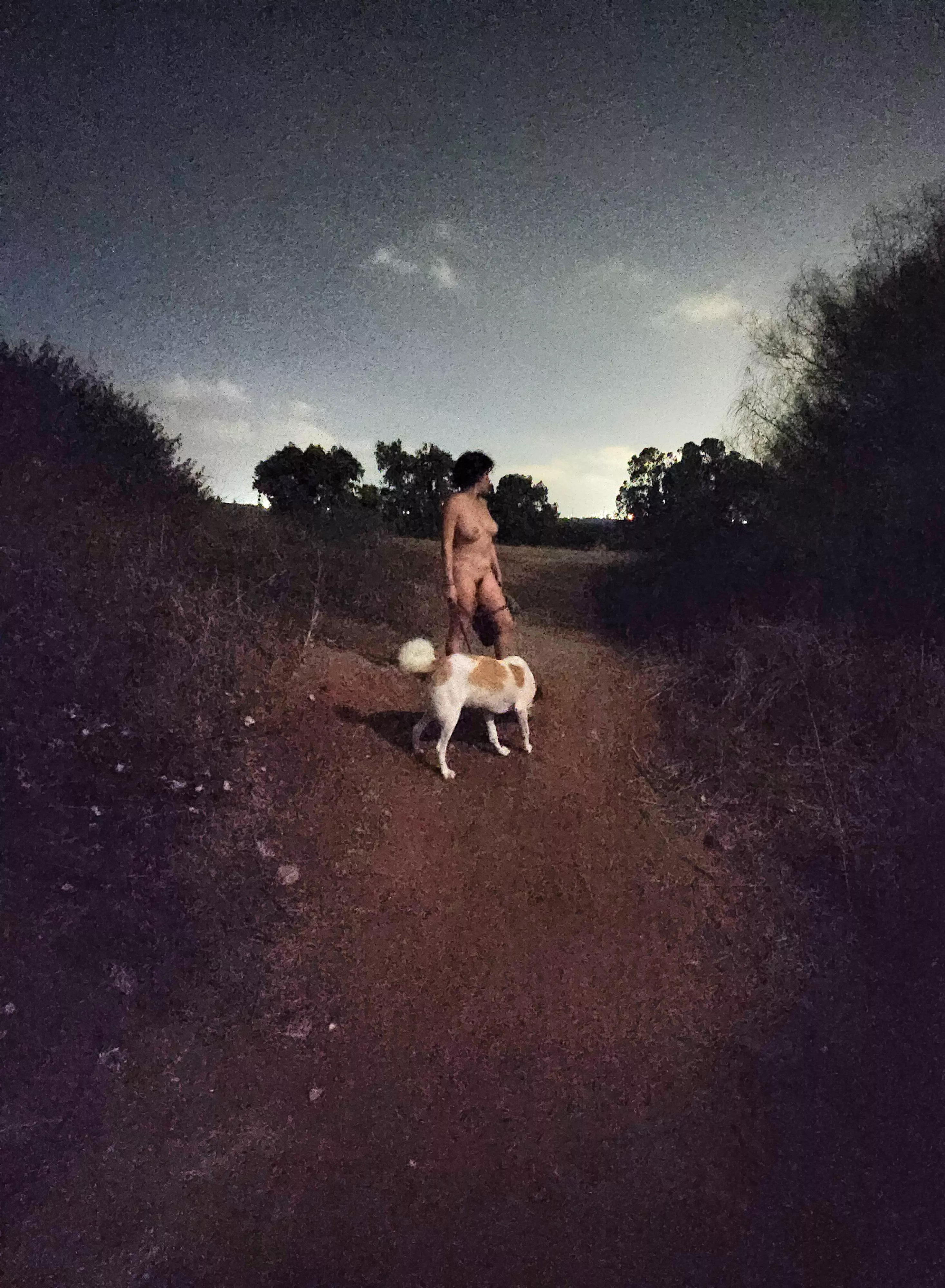 Walking the dog :) posted by oacouplex34