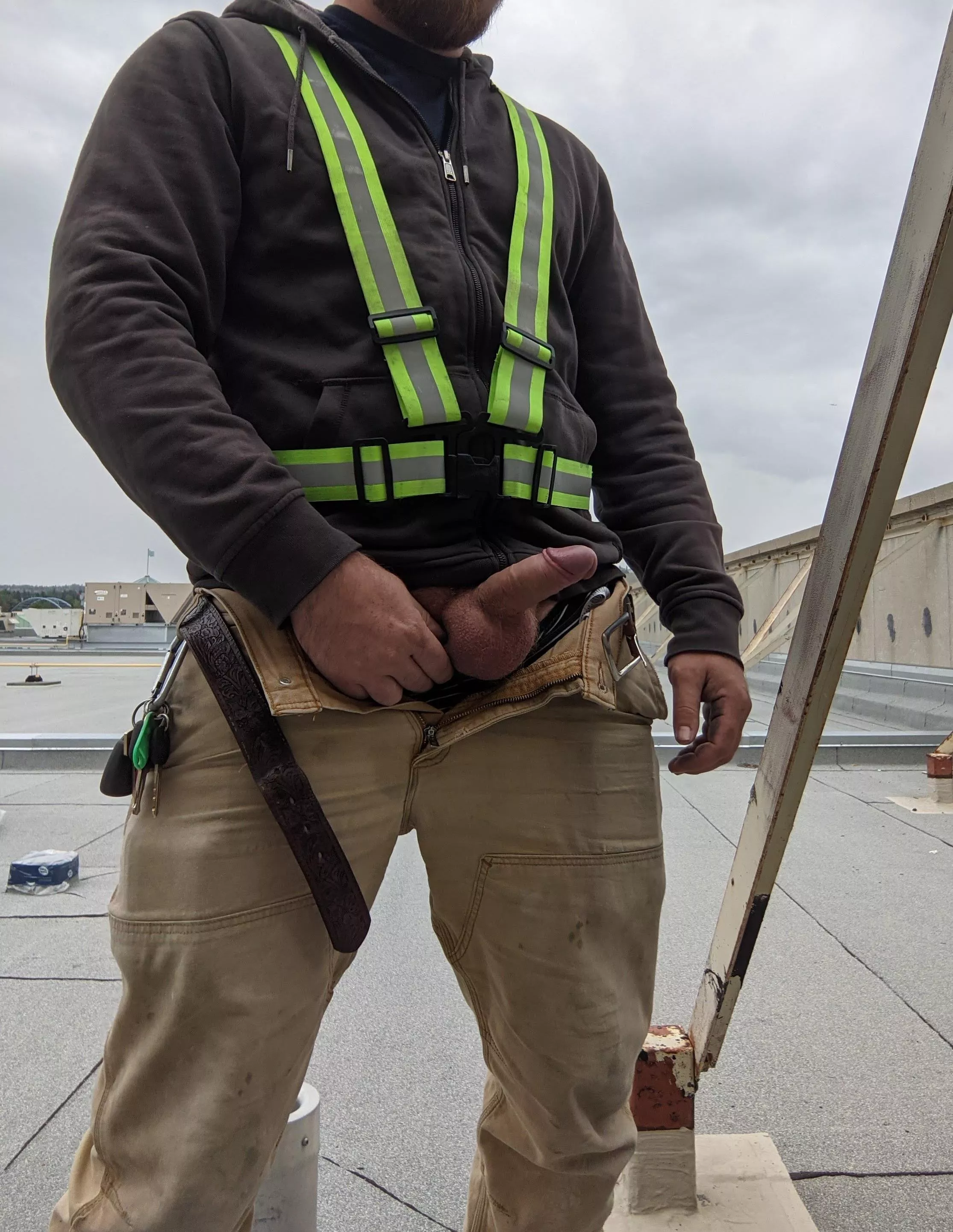 Working Hard posted by Objective_Excuse5921