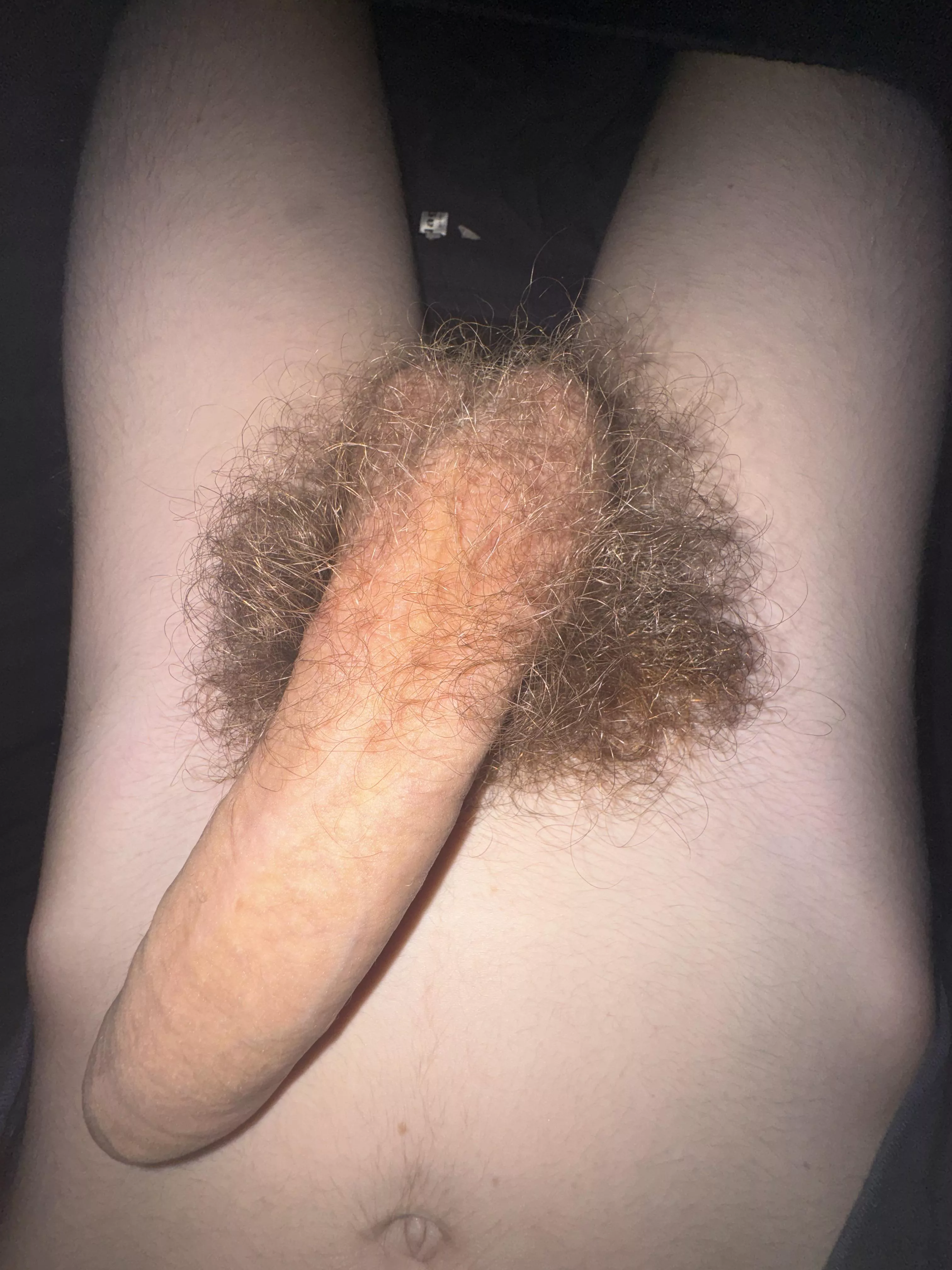 am i bushy enough? posted by NoWerewolf9816