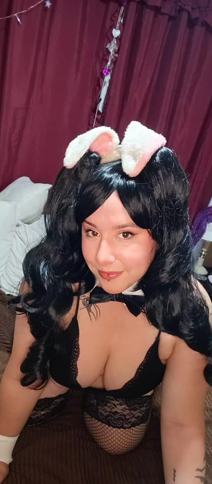 Black bunny posted by lilladyvodka