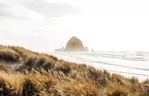 Cannon Beach, Oregon posted by indikater